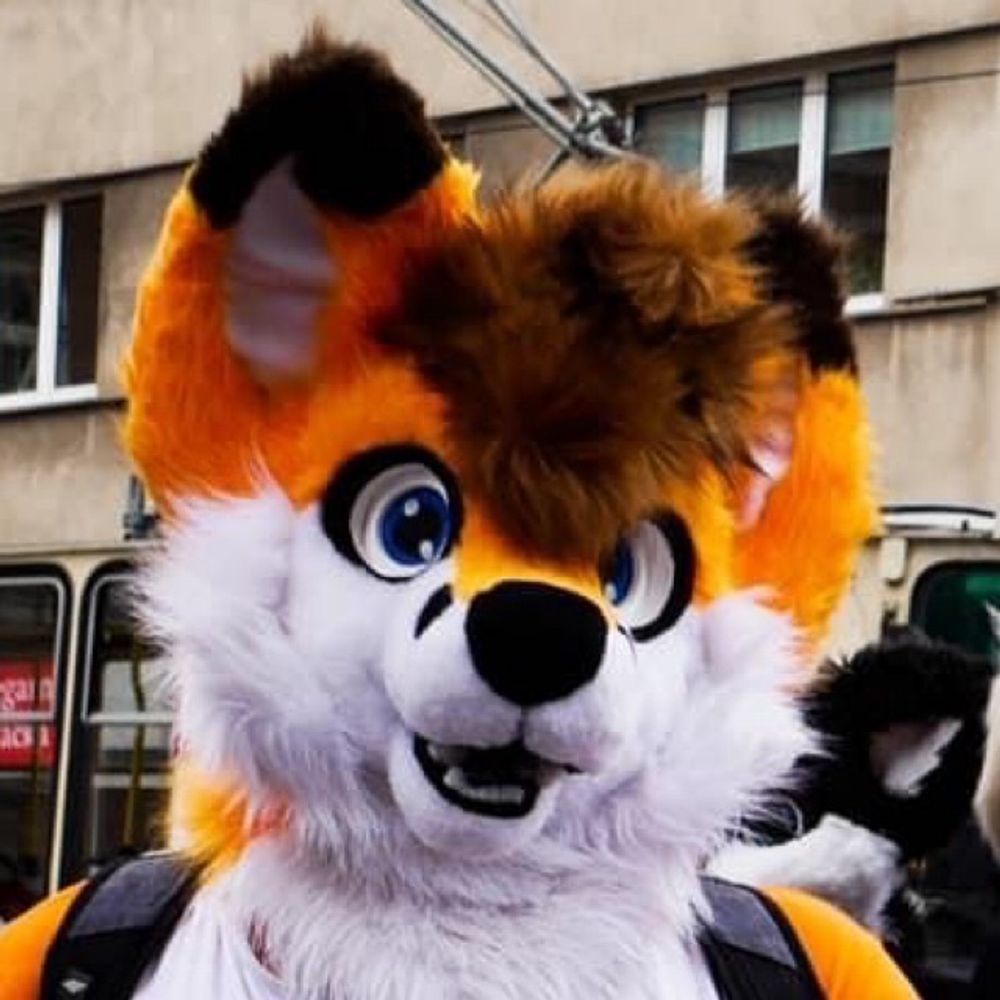Electro Fox