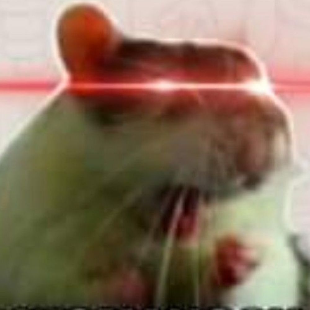 manteiga na manteiga 🧈