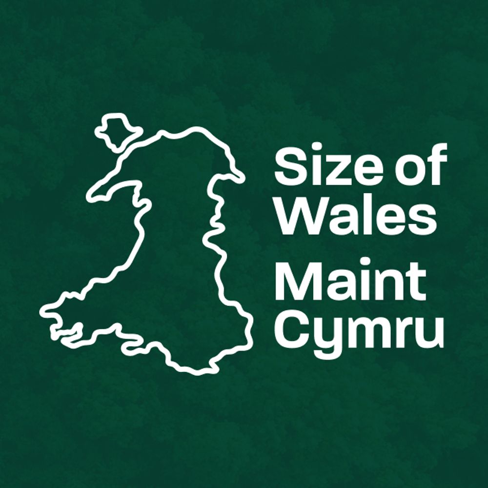 Size of Wales