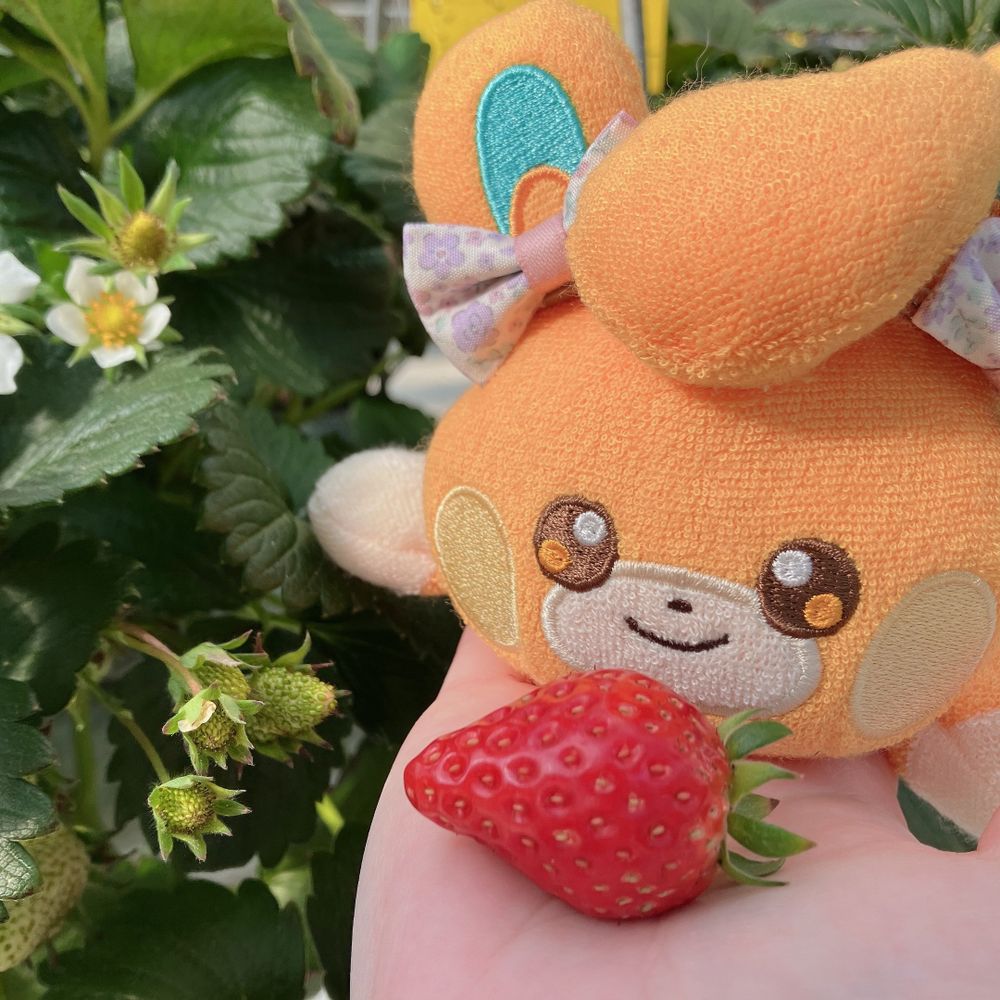 パモと朔