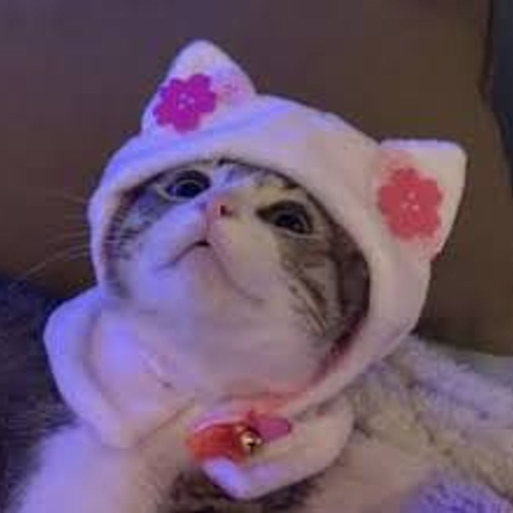 🌺 ღೋHREROHATER_KITೋღ 🌺
