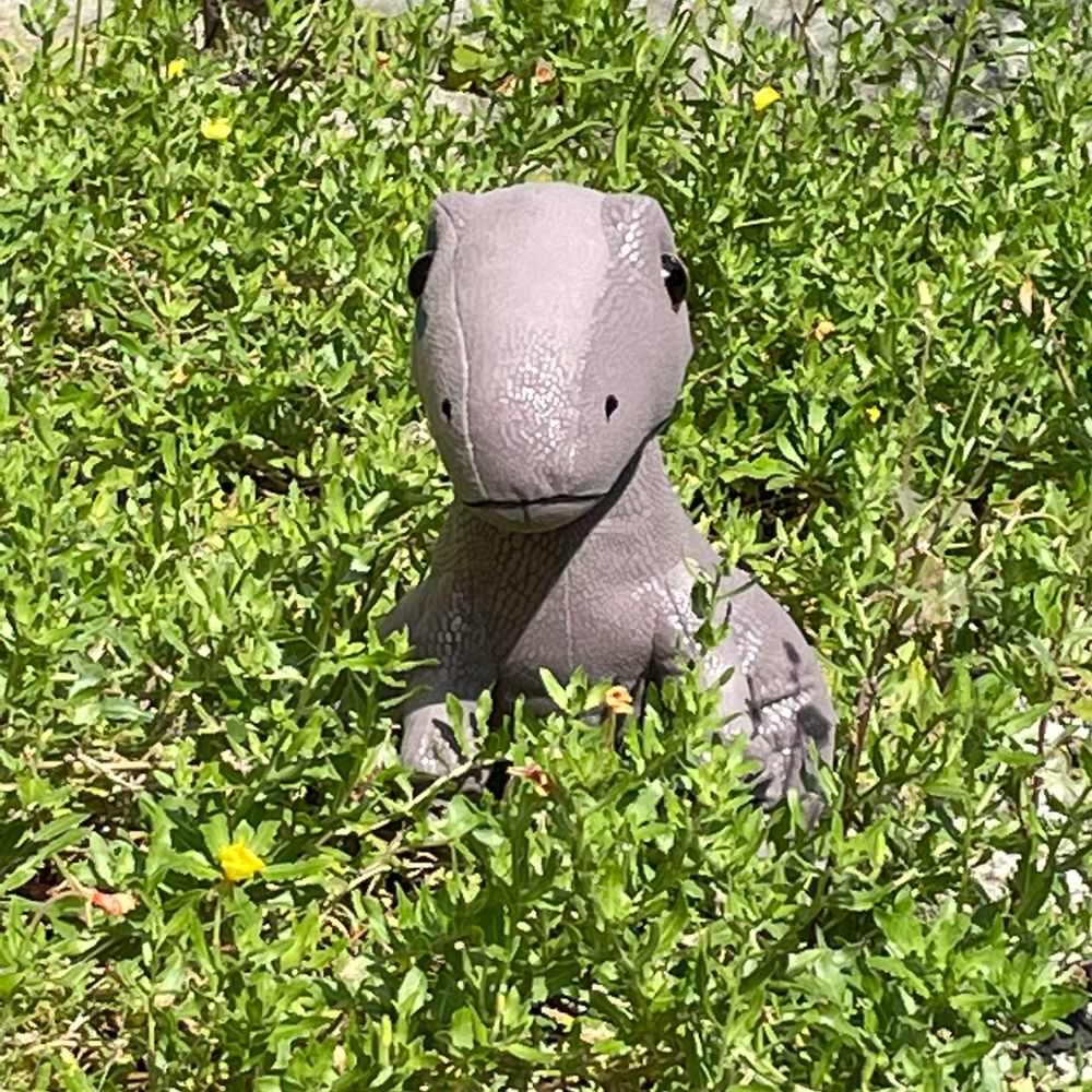あがさ