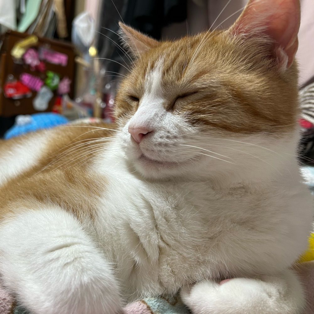 Ena