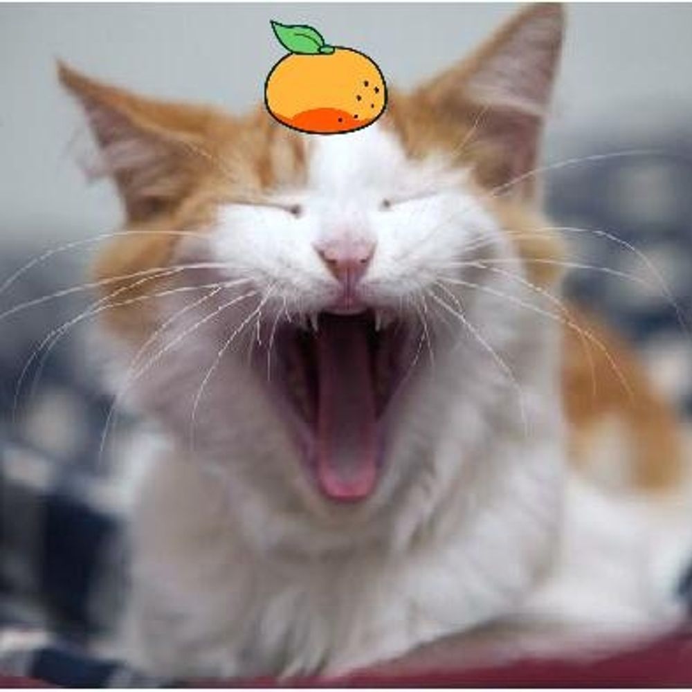 チャボ