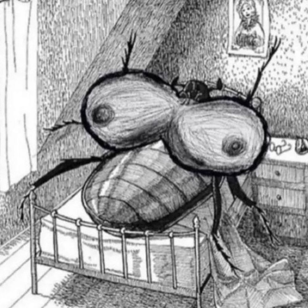 Tranz Kafka 🏳️‍⚧️