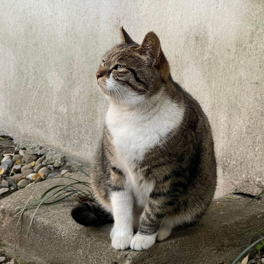 火锅选手