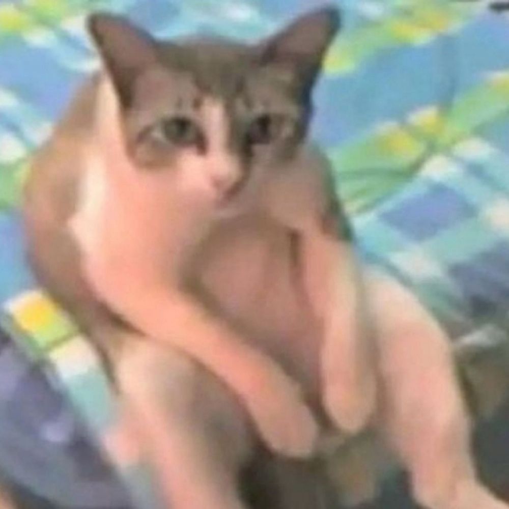 alanzinho celosplorer 