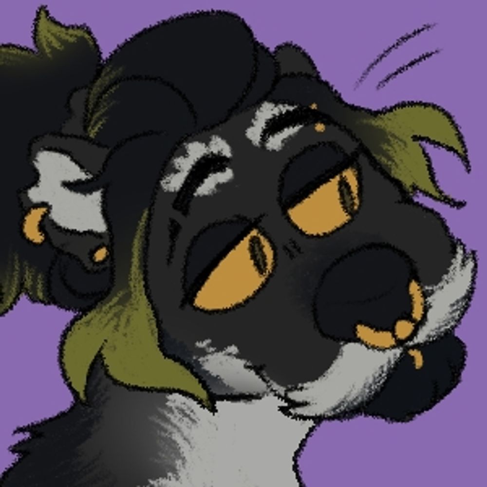 ott 🦨