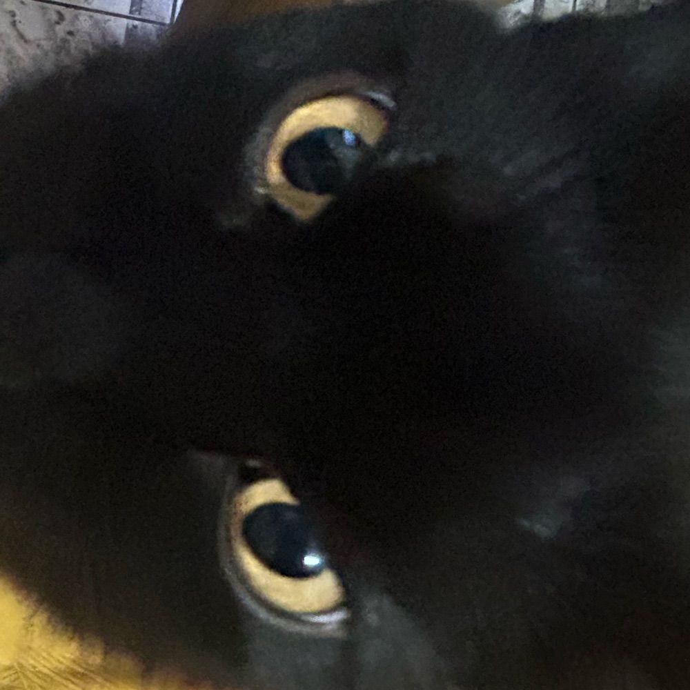 Mia