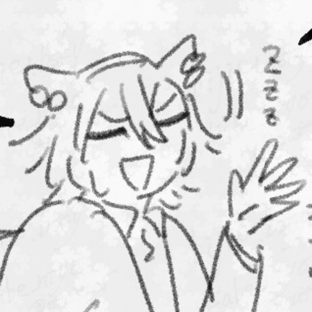 BGM✨