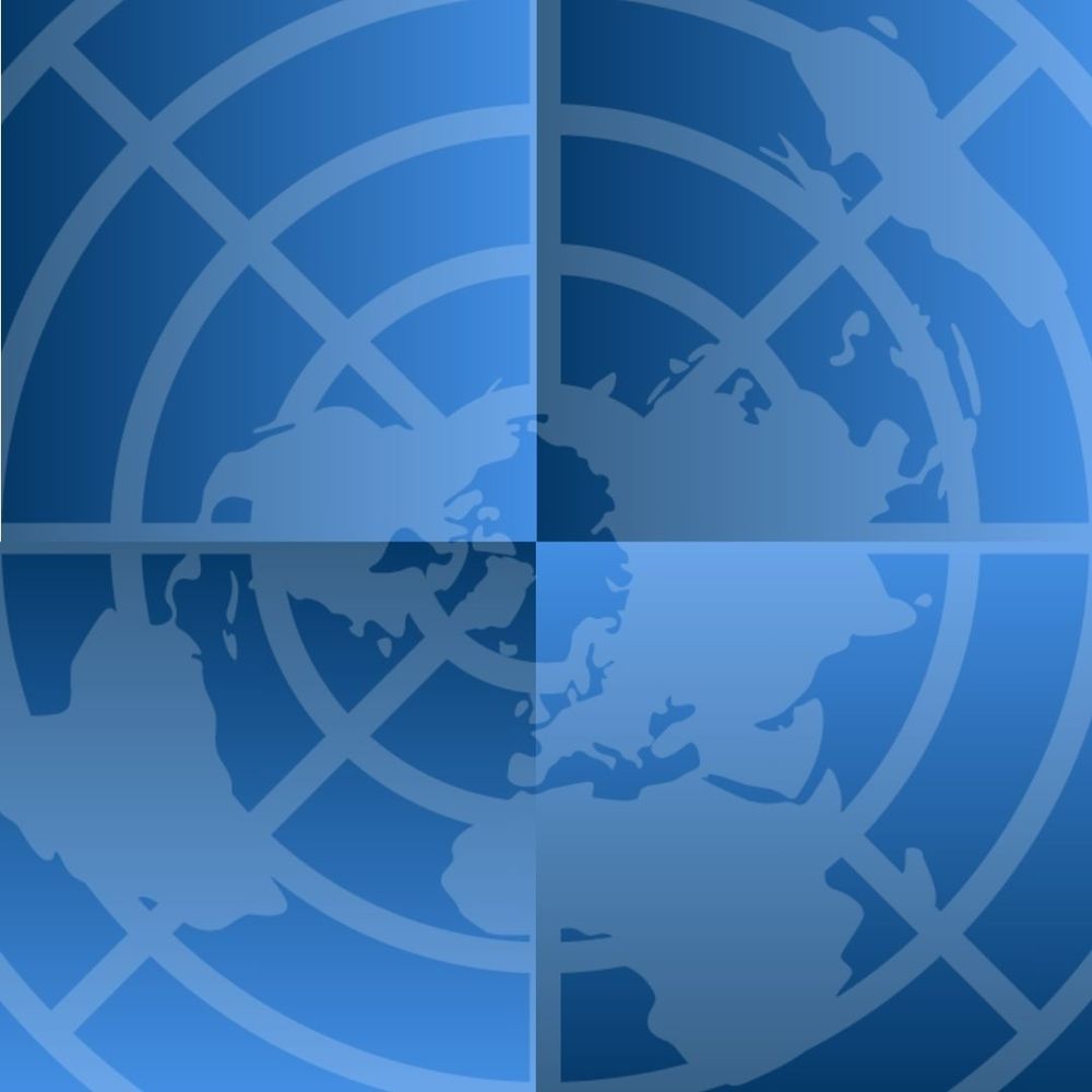 UN Human Rights Council Investigative Bodies