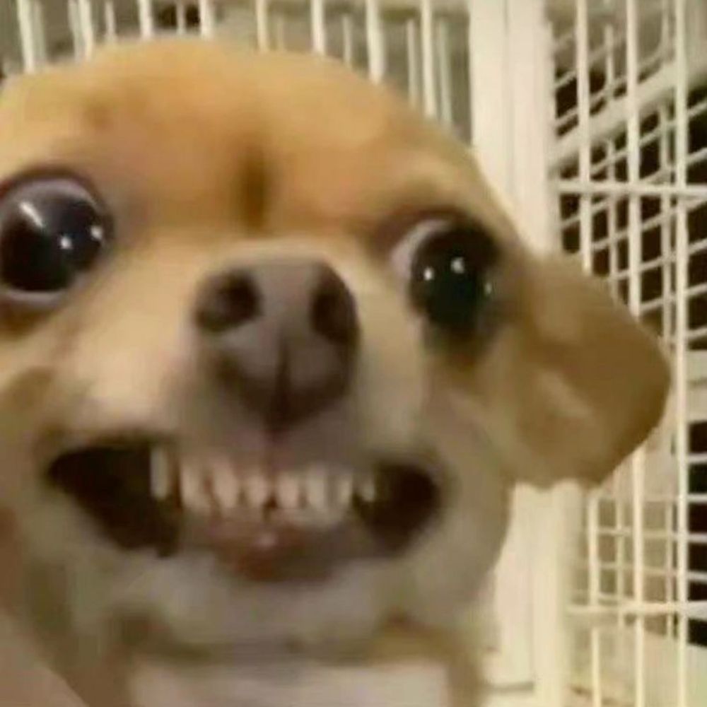 꼬망