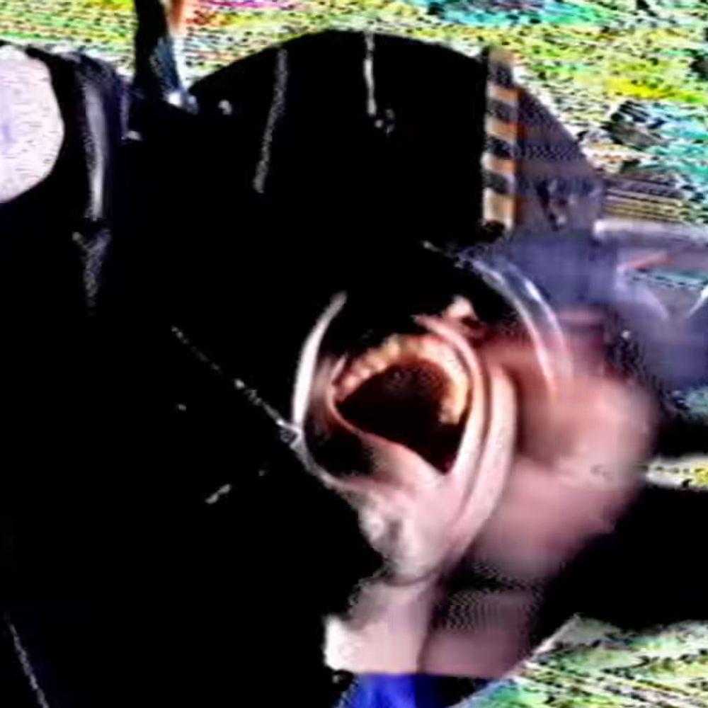 facing_w0rlds
