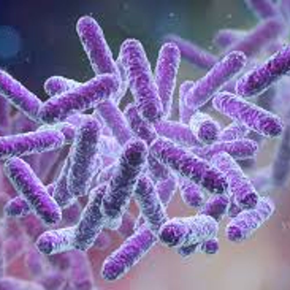 Bacteria Thoughts