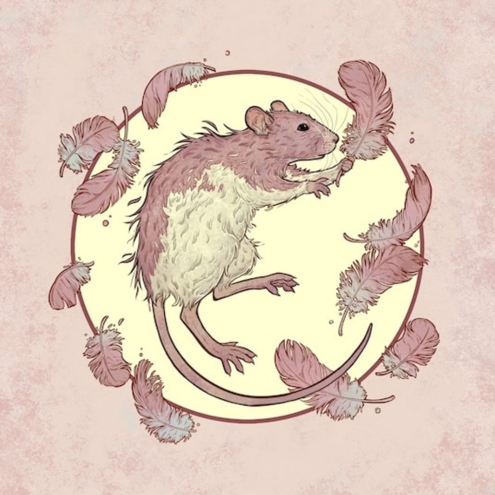 !!! RAT !!!