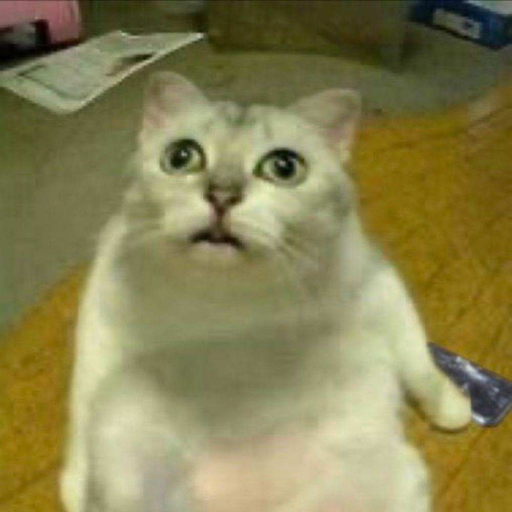 ᴀʟɪᴇɴ