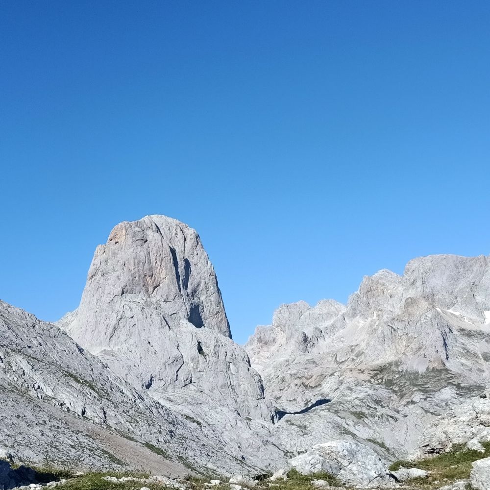Paxarin