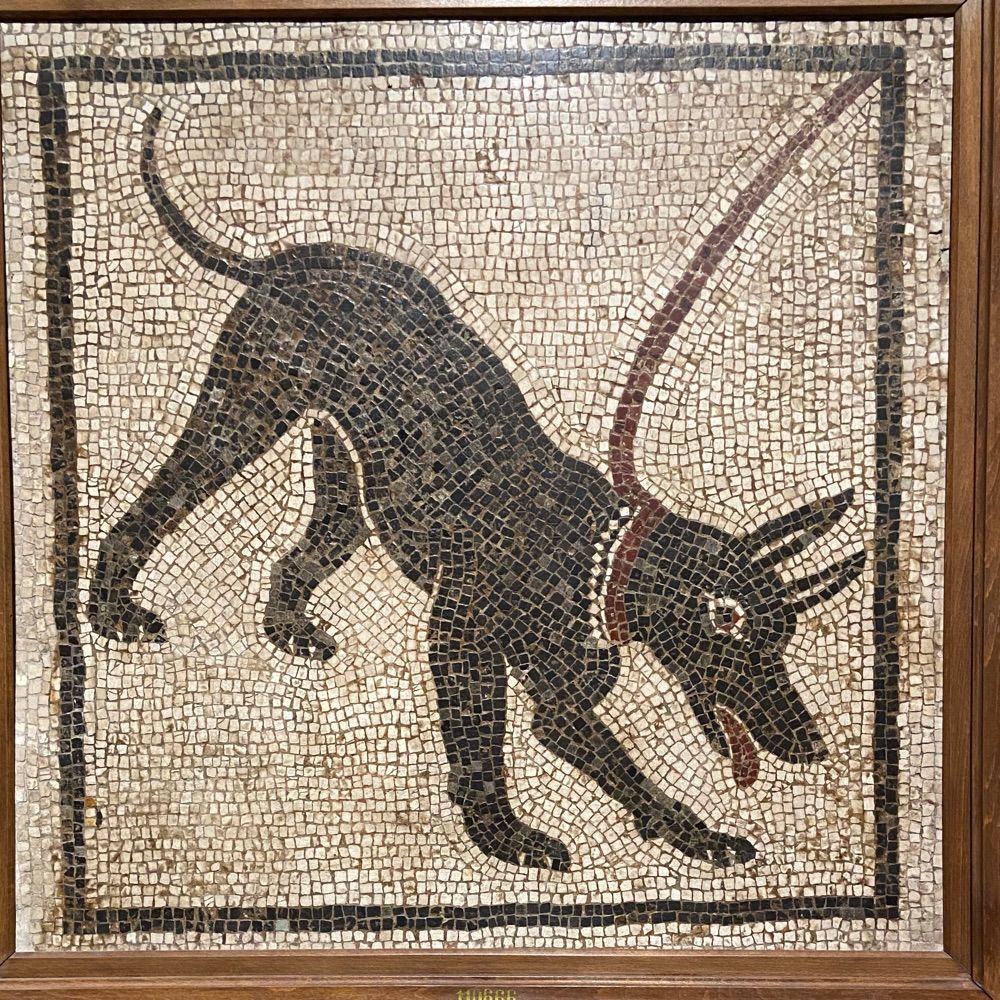 人んちの犬