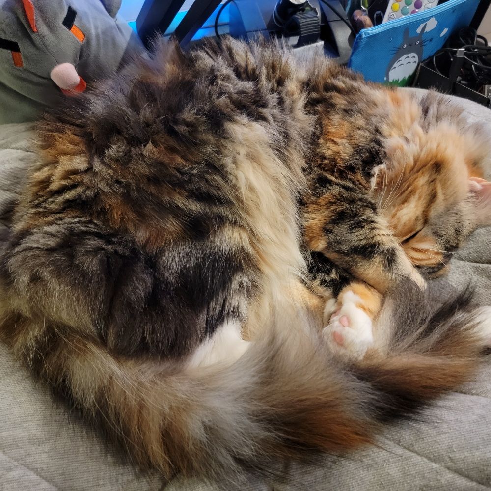Miso