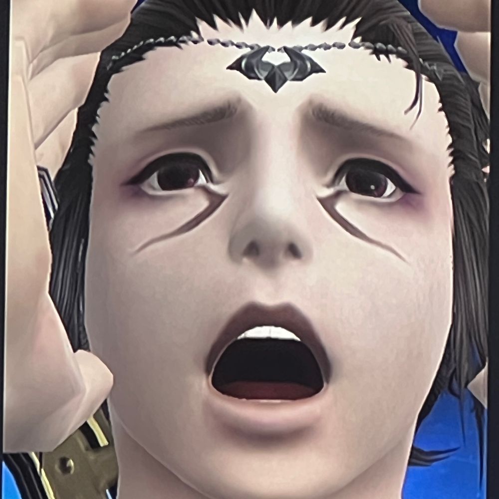 Mr Danion XIV the simp of Lucy Pyre and Minthara