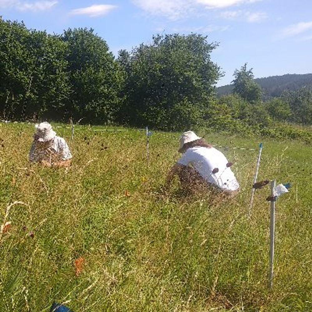 Plant ecology in České Budějovice