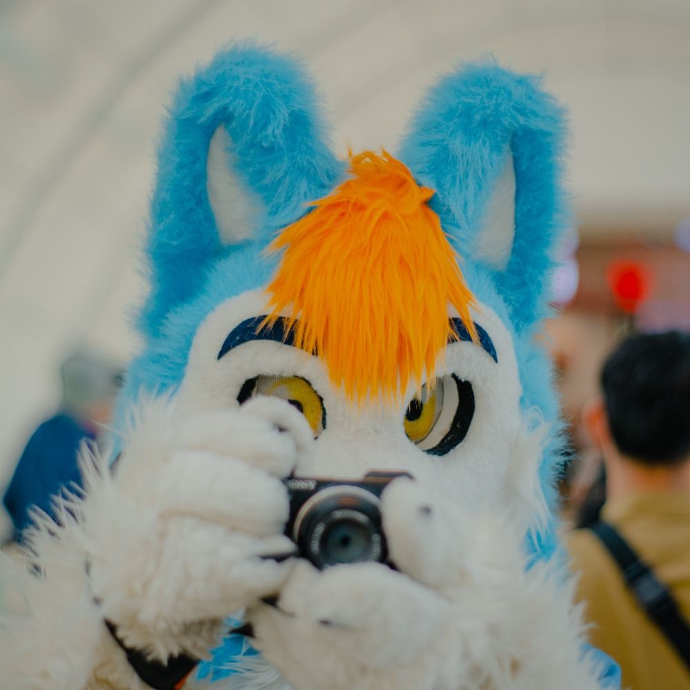 Itchi Husky