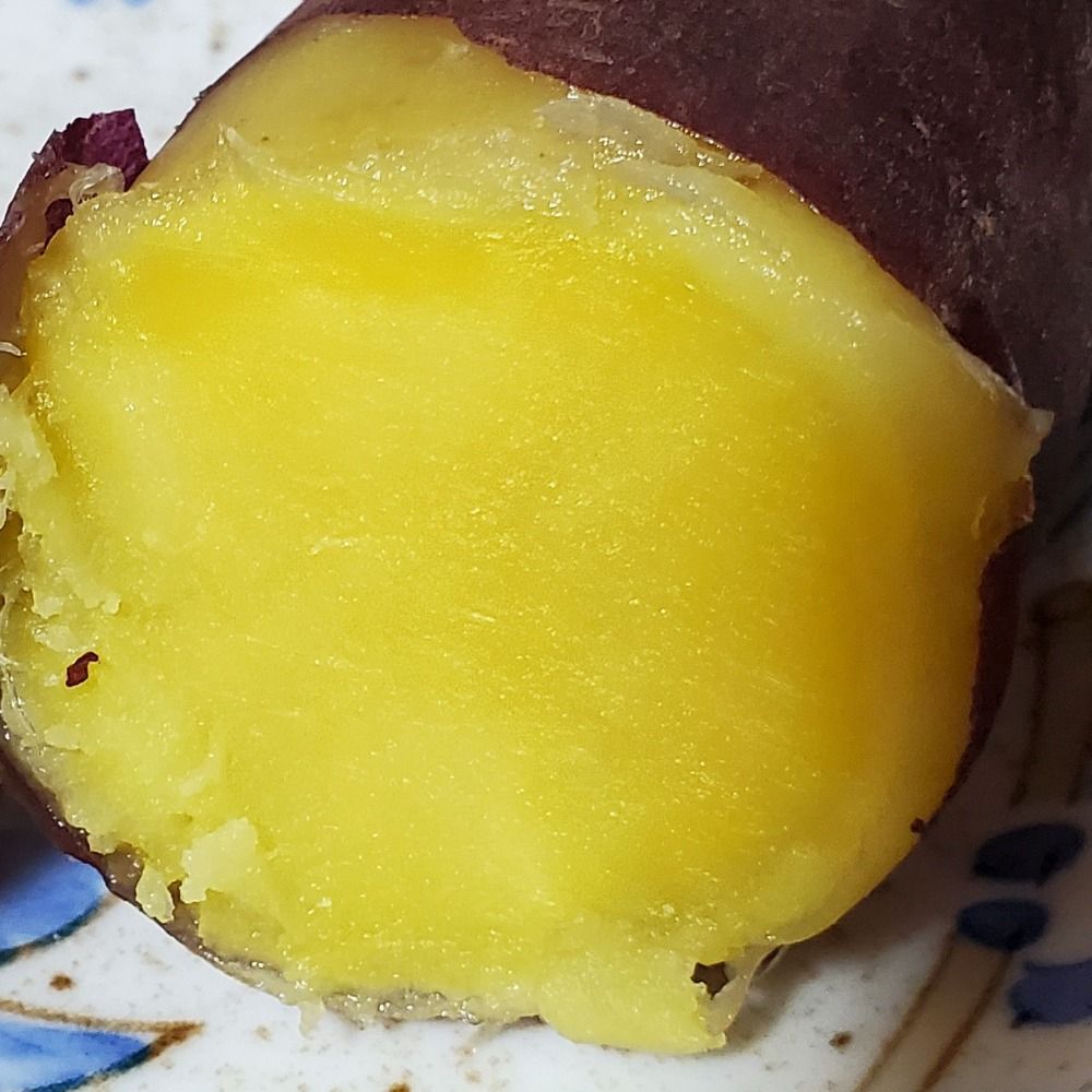 赤井忍(干芋🍠太郎)ちーむ赤猫