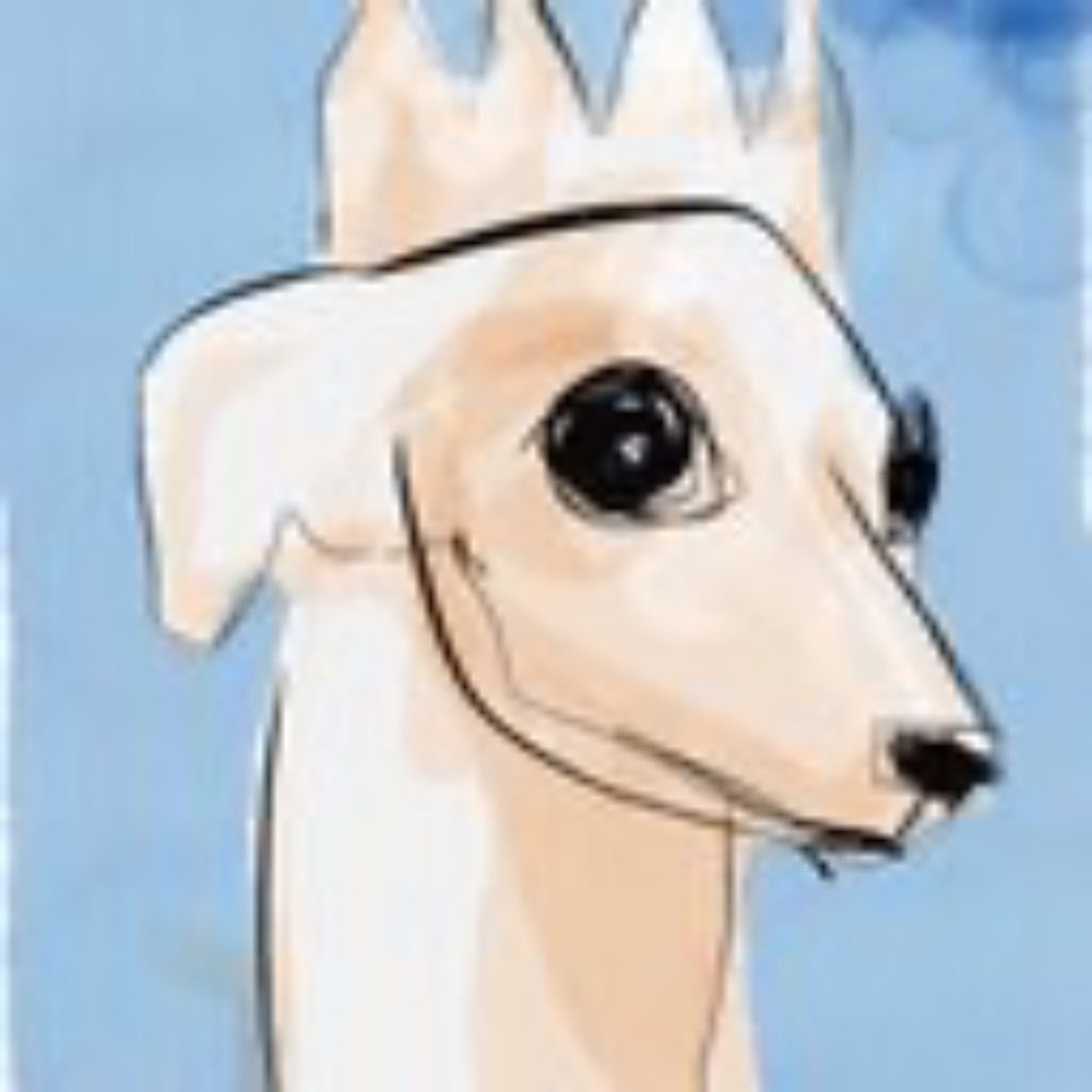 犬を洗う