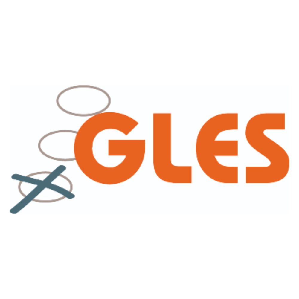 German Longitudinal Election Study (GLES)'s avatar