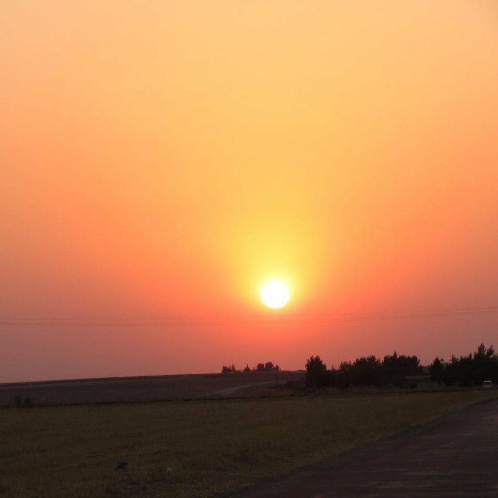 Nehir Dicle