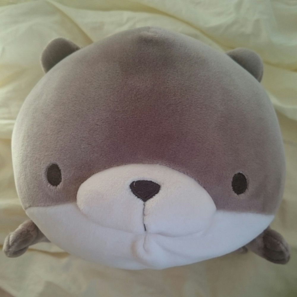 やっぴー(ﾉ)•ω•(ヾ)こみさま