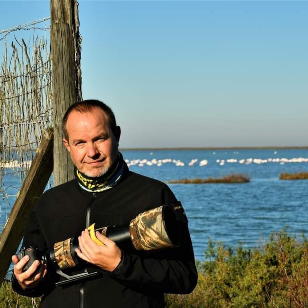 Carlos Romero 