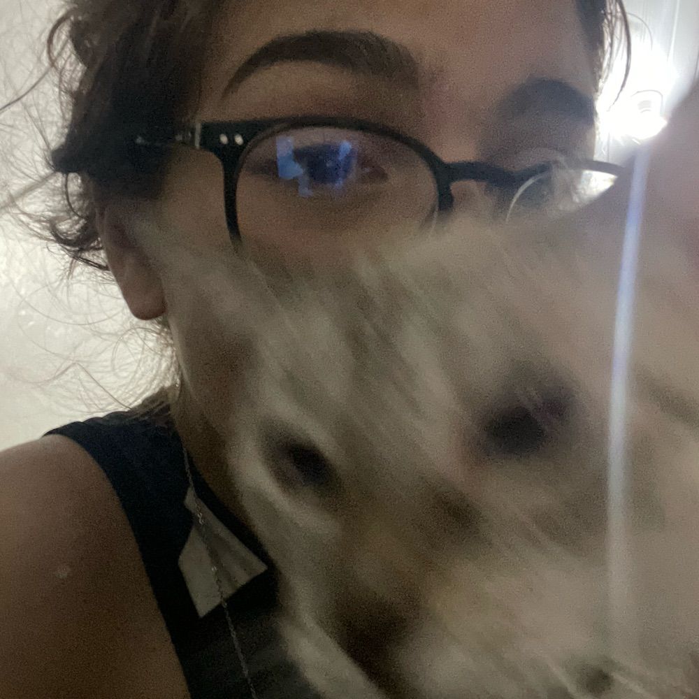yas 🐈‍⬛
