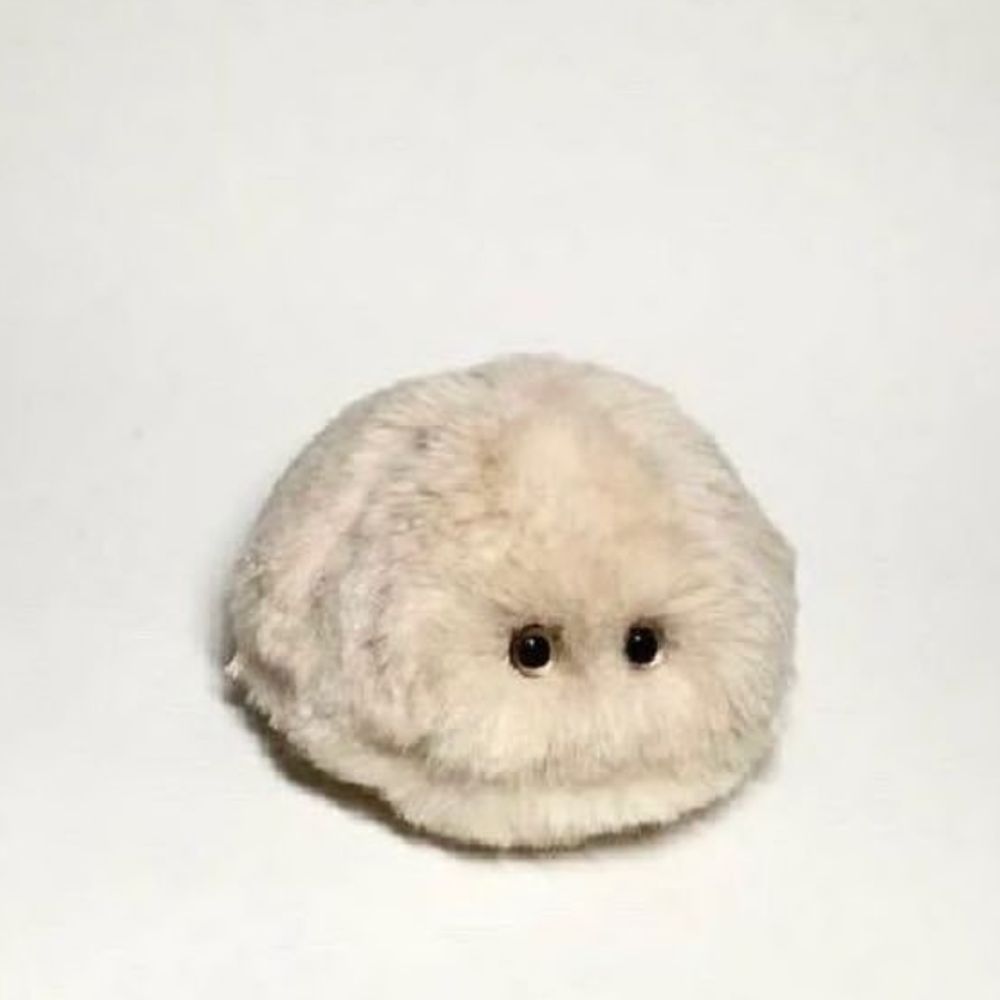 Mura 