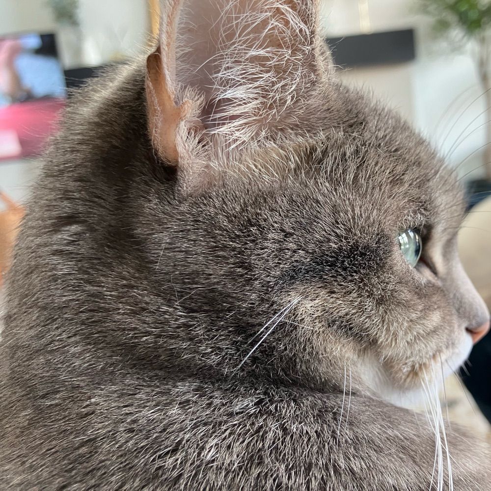 Zoe