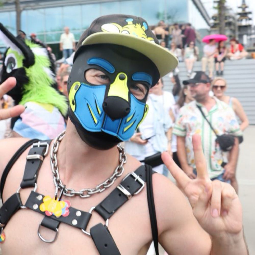 Pup_Milo