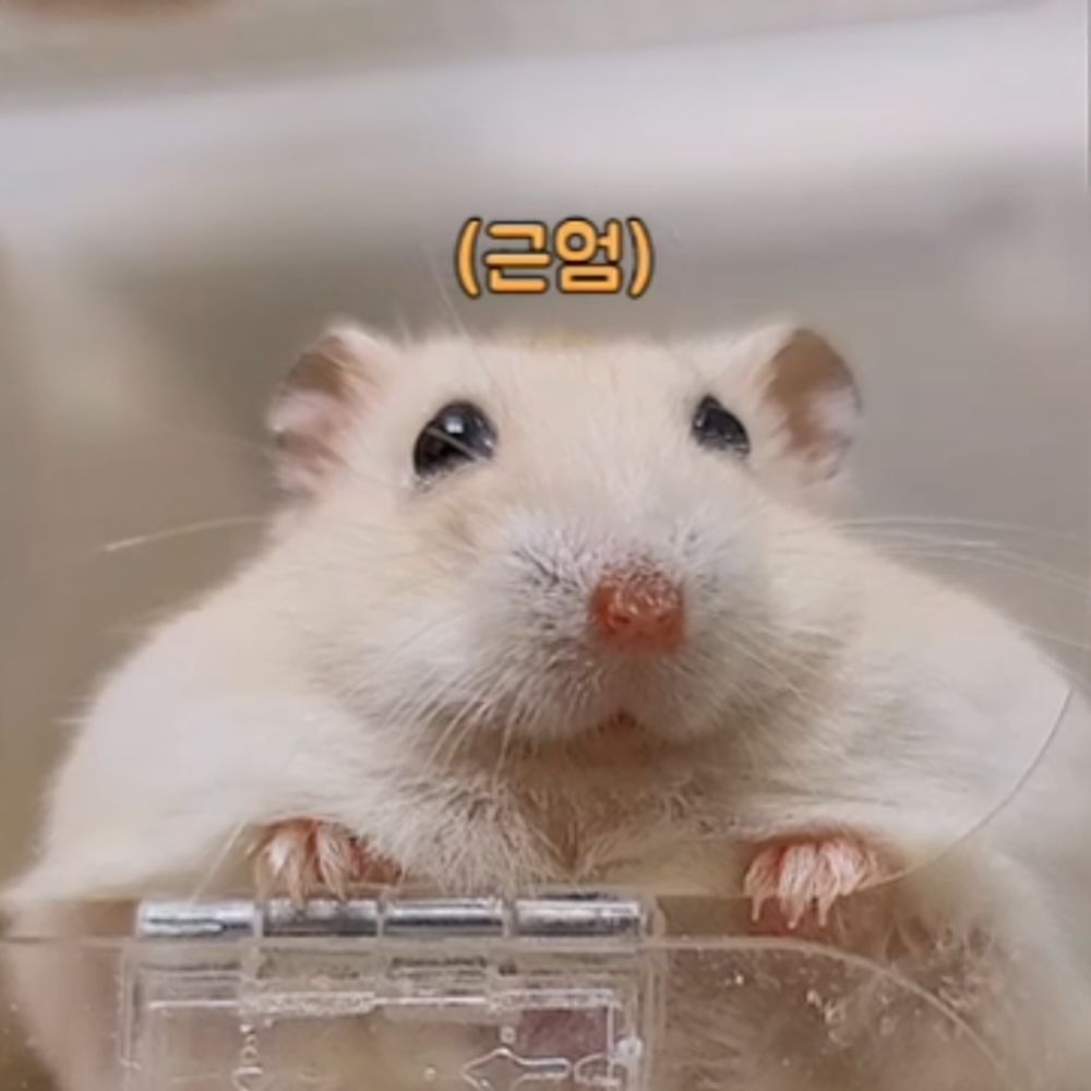 톱밥