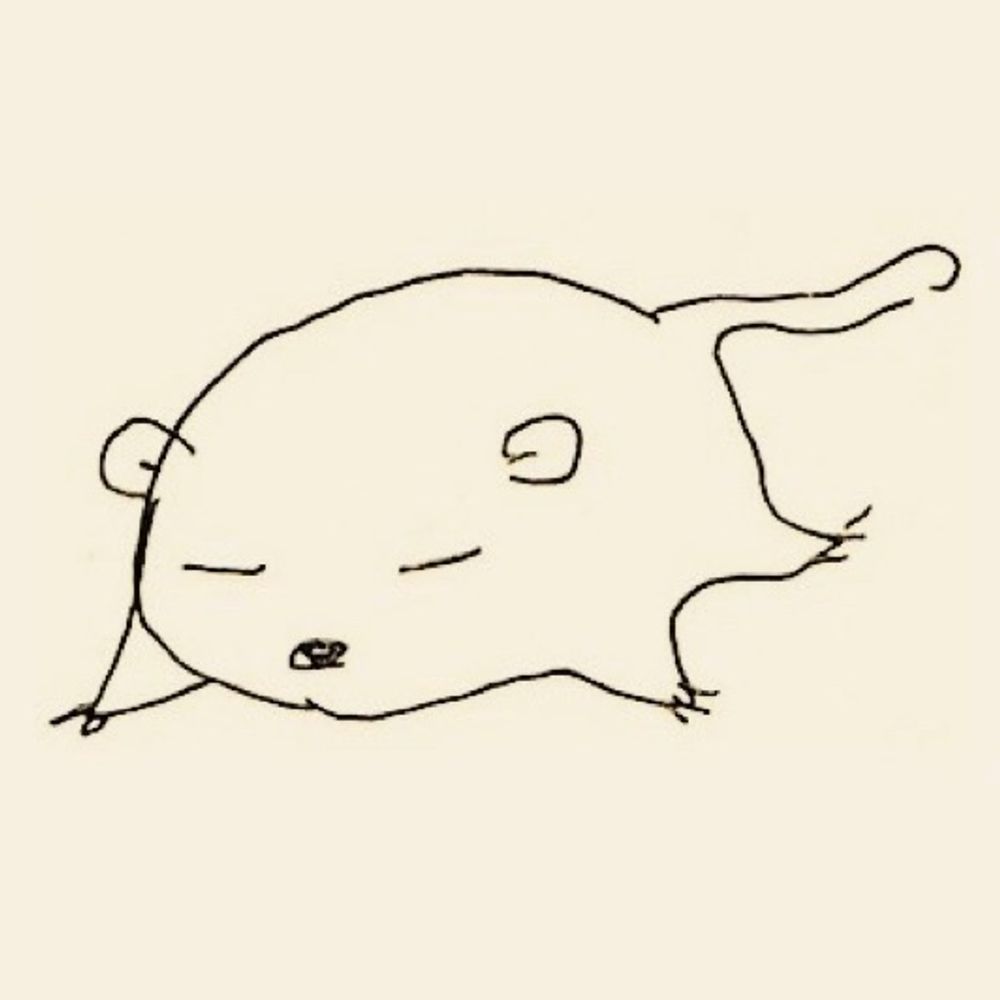dormouse