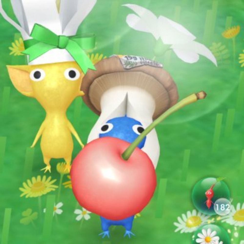 ｴﾘﾝｷﾞちゃん　ピクミンブルーム