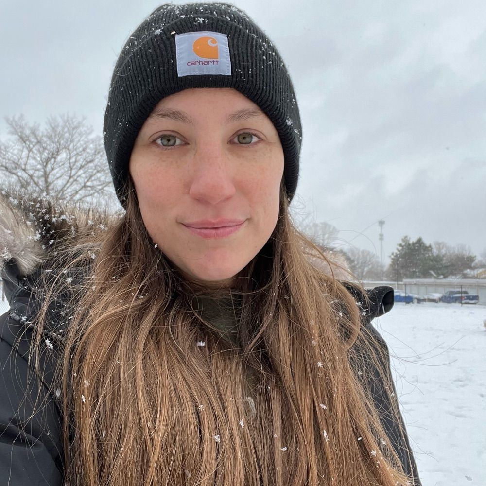 Dani