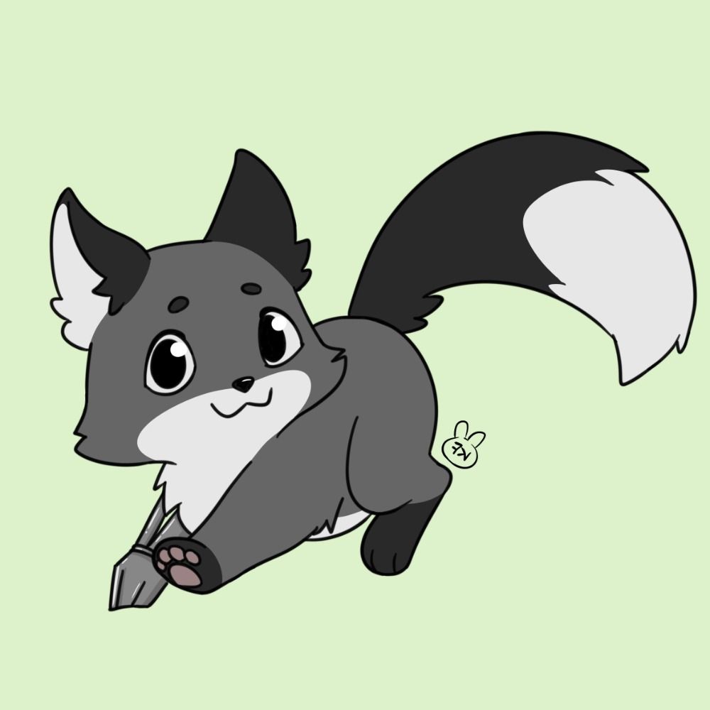 FoxyNotFox