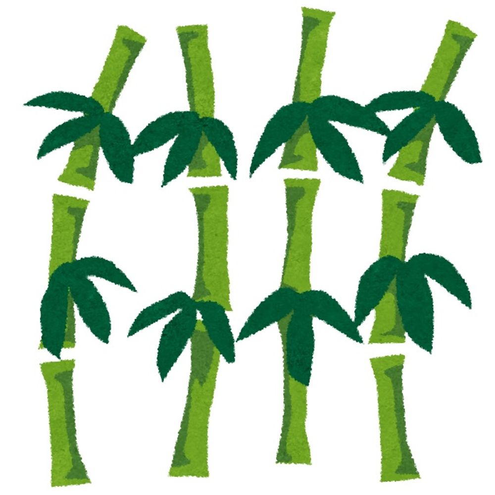 竹