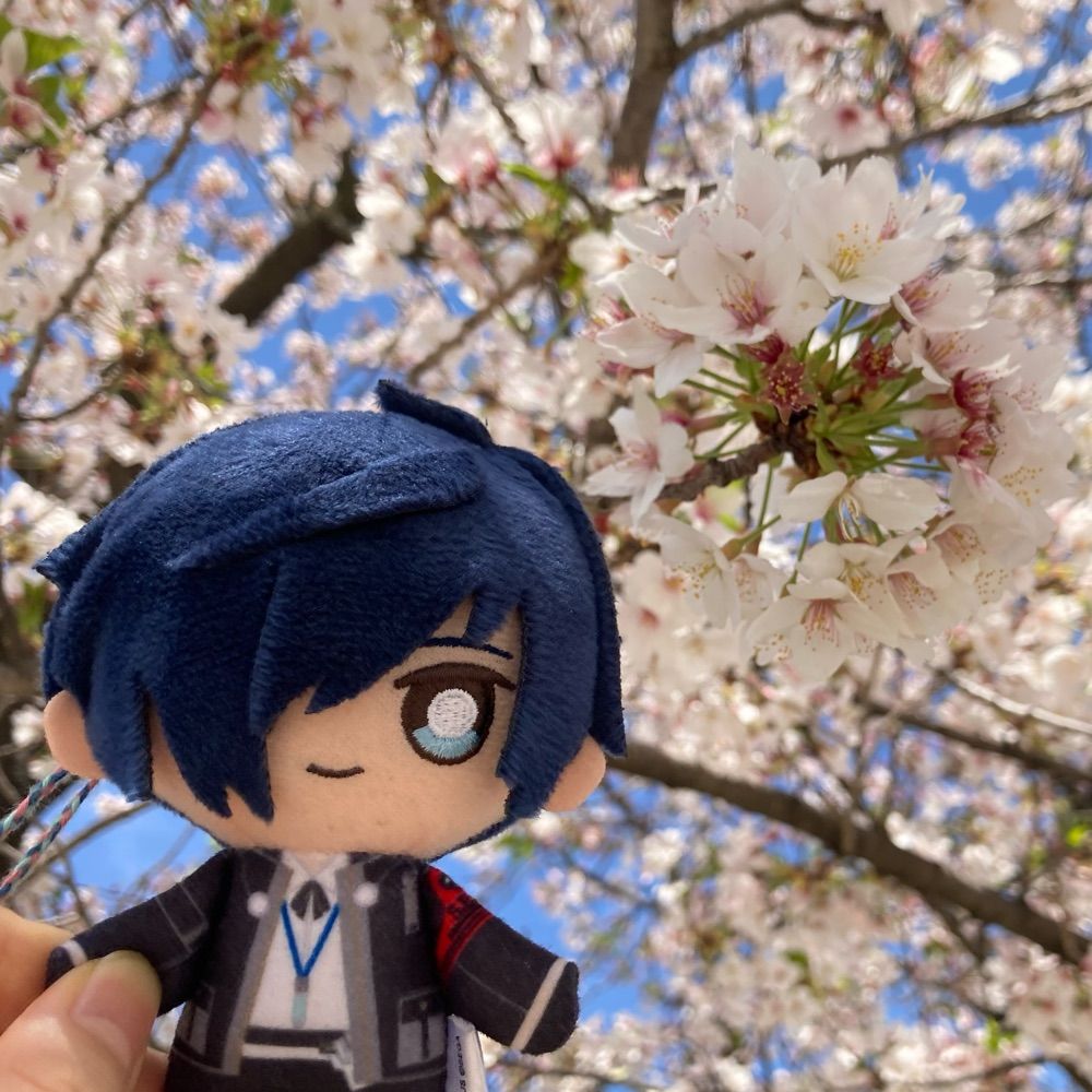もち