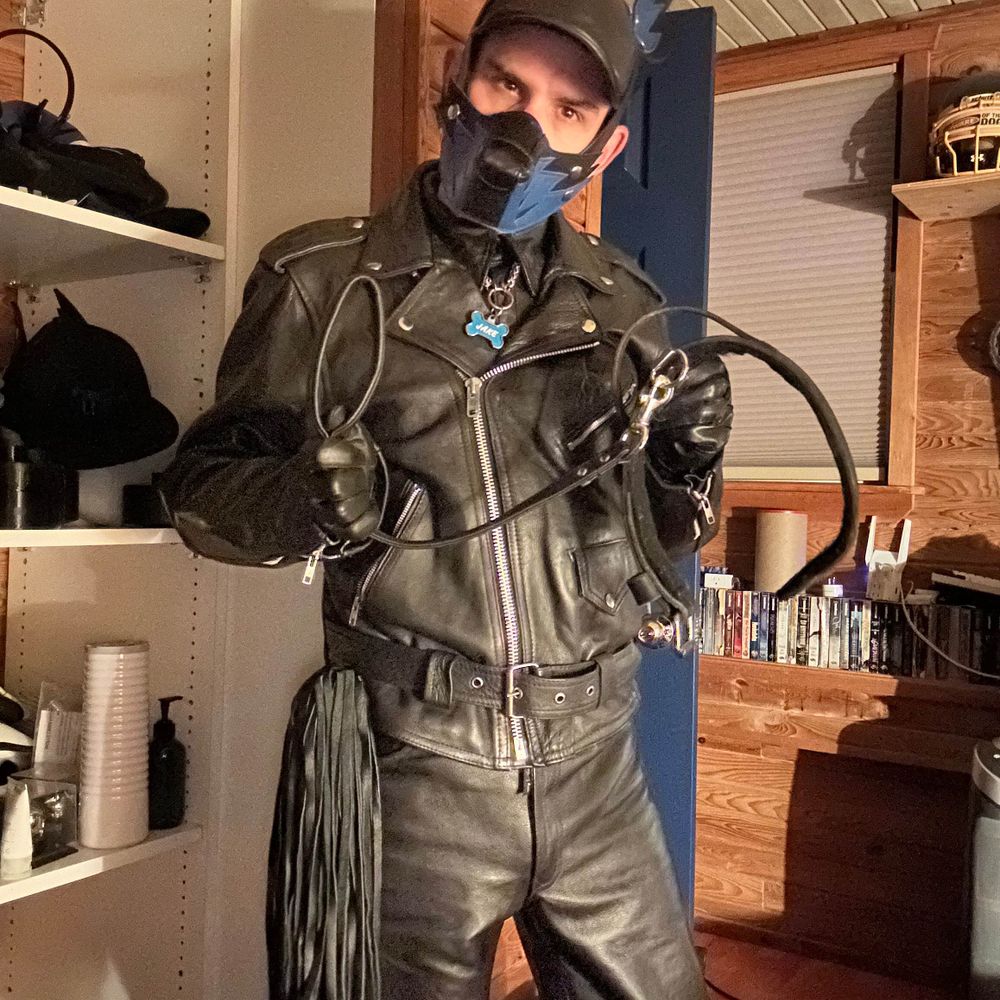 Pup Jake