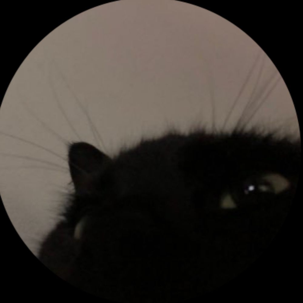 kitty