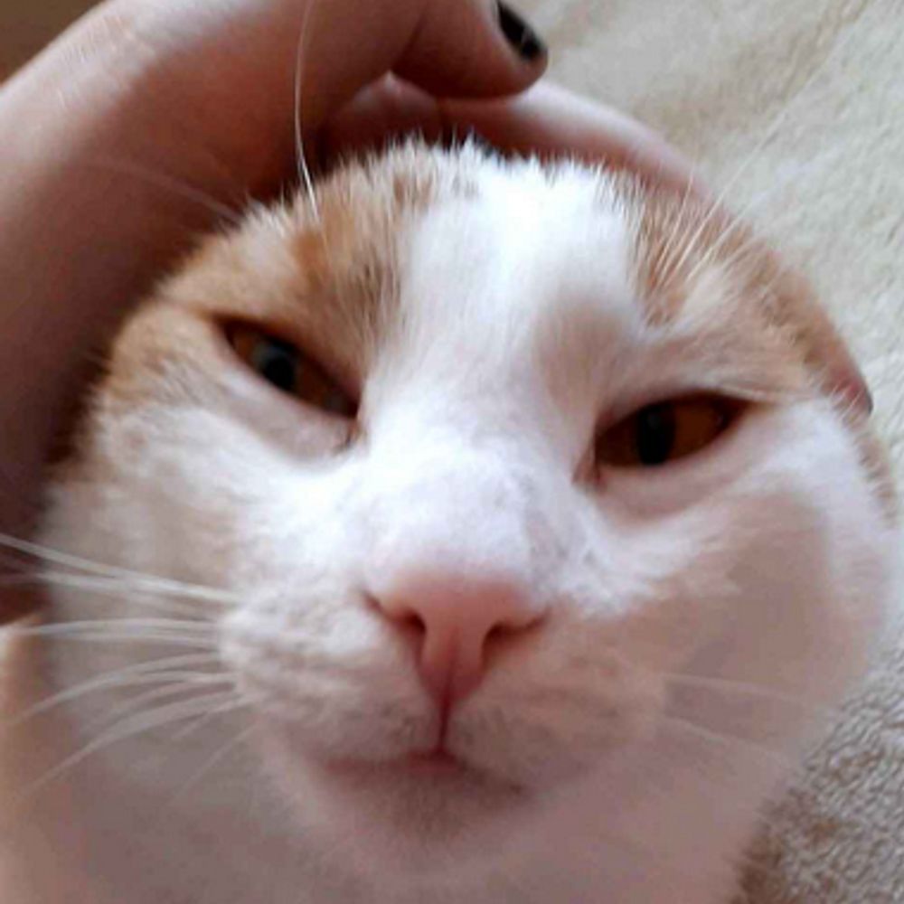 Juno