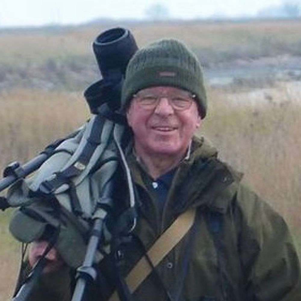 Ray York