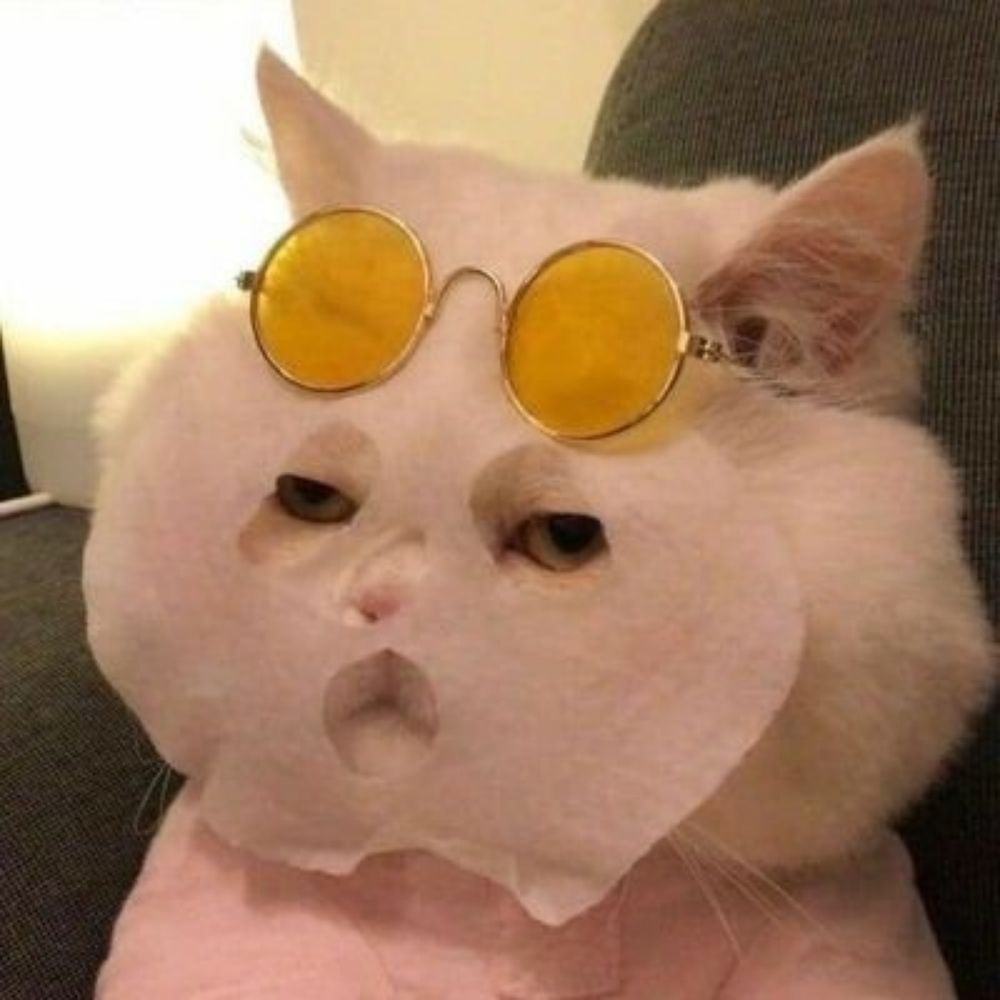 dozi我都唸豆子