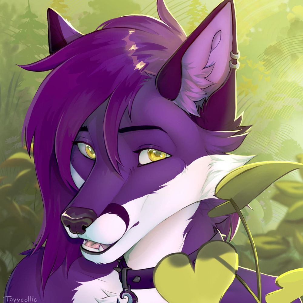 Vilvi