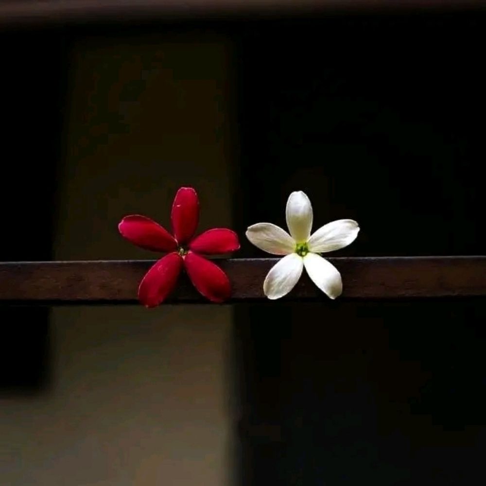 Hooriya Batool